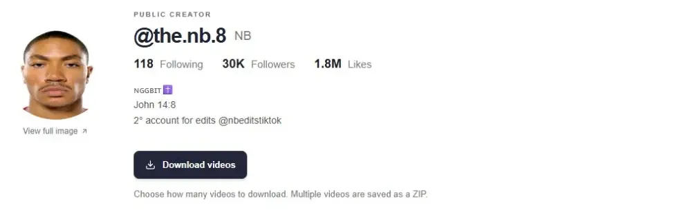 TikTok profile viewer showing @the.nb.8, biography and public account statistics