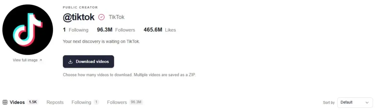 TikTok’s verified @tiktok profile in ttokviewer with the Download videos button below its public account information